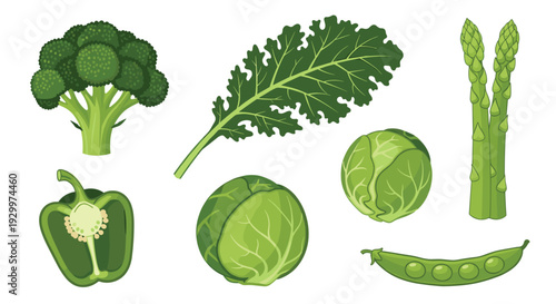 An assortment of green vegetables including broccoli kale asparagus pepper and peas is displayed on a clean white background.