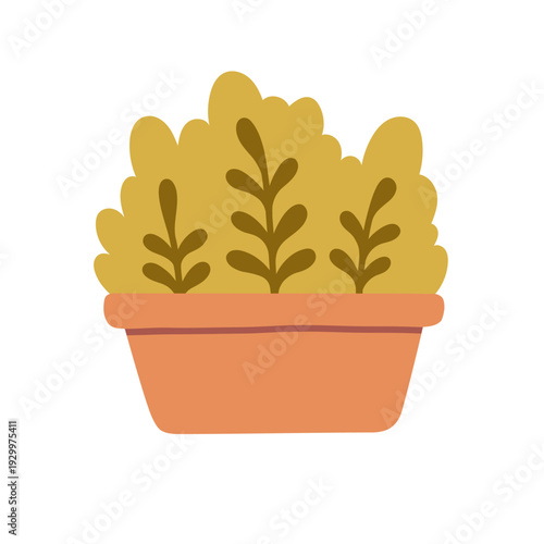 Flat vector illustration of a bushy decorative plant in a planter. Great for home decor designs, garden branding, eco themes, spring collections and modern botanical visuals