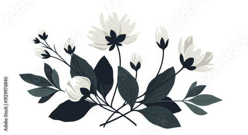 A cluster of white flowers and dark green leaves with several closed buds is arranged in a central bouquet on a white background.