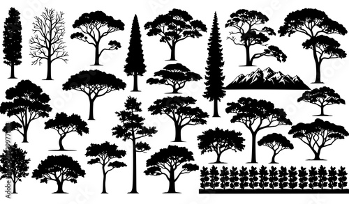 Environmental Tree Silhouette Collection for Urban Planning and Elevation Drawings