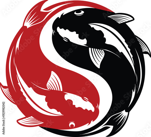 Stylized black and red koi fish swimming in a perfect yin yang circle, traditional japanese carp vector illustration representing balance and harmony.