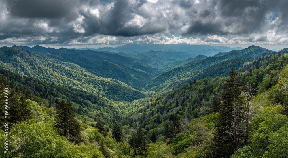 Fototapeta premium Smoky Mountain Majesty - Verdant Valleys Under Dramatic Skies.