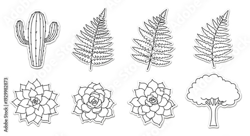 Set of handdrawn botanical illustrations including cactus and ferns