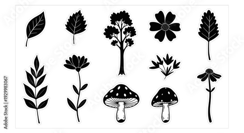 Collection of various black silhouette botanical illustrations