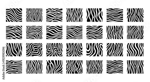 Collection of zebra stripe patterns with various black and white designs
