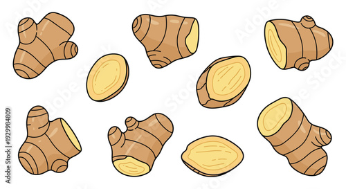 Collection of various whole and sliced ginger root pieces with light brown skin and pale yellow flesh isolated on a plain white background surface.
