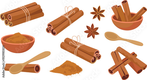 Cinnamon sticks bundles with ground powder and star anise vector spice set for cooking baking design