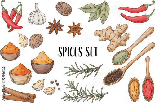 Hand drawn spices and herbs set vector illustration with chili, ginger, garlic, cinnamon and aromatic seasonings