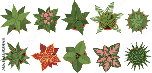 Sweet dessert vector collection featuring heart lollipops macarons chocolate strawberries cupcakes and colorful wrapped candies for party