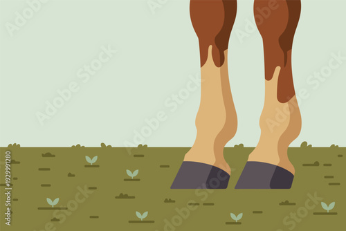 Horse legs standing in green grassy field with small plants