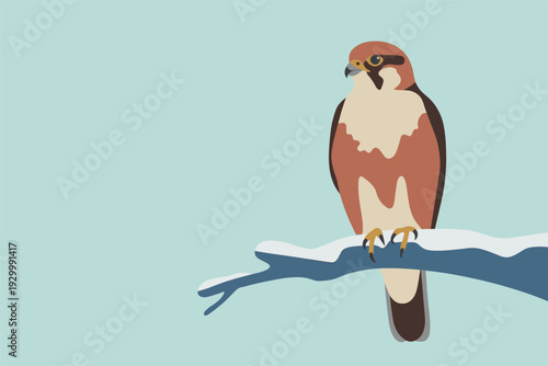 Majestic hawk perched on snowy branch against soft green background