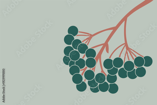 Vibrant green grapes cluster on rustic vine branch