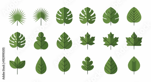 Collection of various green leaves and foliage illustrations displayed together in a grid arrangement