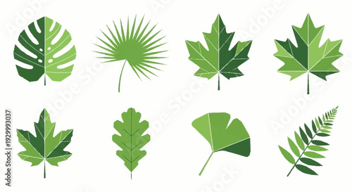 Various green leaves arranged neatly in a grid pattern showcasing diverse shapes and textures