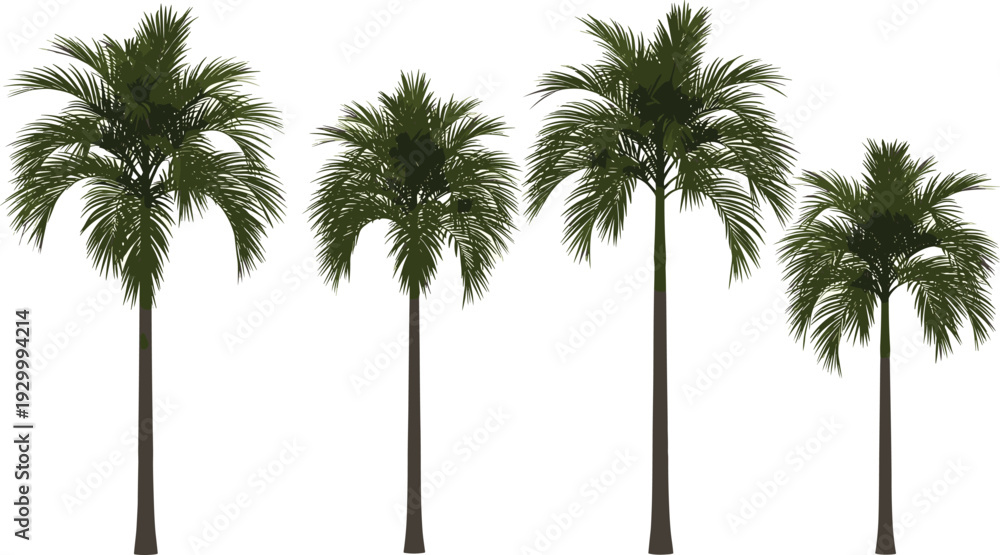 Fototapeta premium Four palm trees standing tall in a row against a clear sky viewed from a straight-on perspective