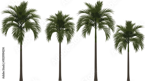 Four palm trees standing tall in a row against a clear sky viewed from a straight-on perspective