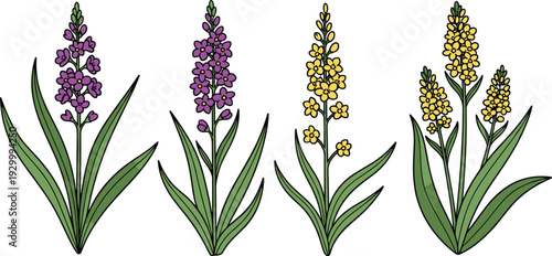 Illustration of various colorful flowers including purple, yellow, and black varieties with green leaves from a direct viewpoint
