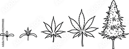 Illustration of a plant growing from seed to mature tree, depicted in various stages of development, showcasing growth and transformation, viewed from the side.