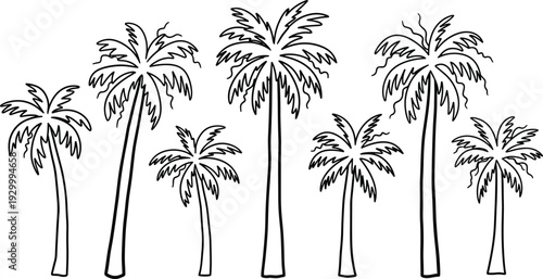 A serene illustration of palm trees standing tall in a tranquil environment from a frontal viewpoint