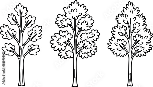 Three trees with varying leaf densities illustrated in a minimalist black and white style from a straightforward viewpoint