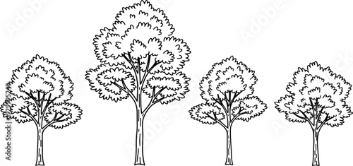 A simple black and white illustration of a row of four trees from a straightforward front viewpoint