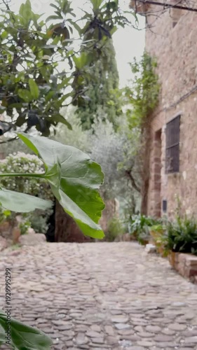 Antiguas Callejuelas con historia de vilafamés