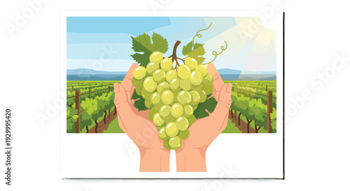 A pair of human hands holds a large bunch of green grapes in front of a sunny vineyard landscape with rows of vines.