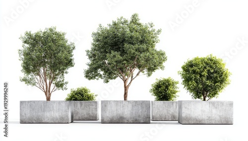 Row of Concrete Planters with Trees and Bushes on White Background, Minimalist Design.