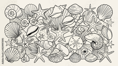 Illustration of various seashells and marine life
