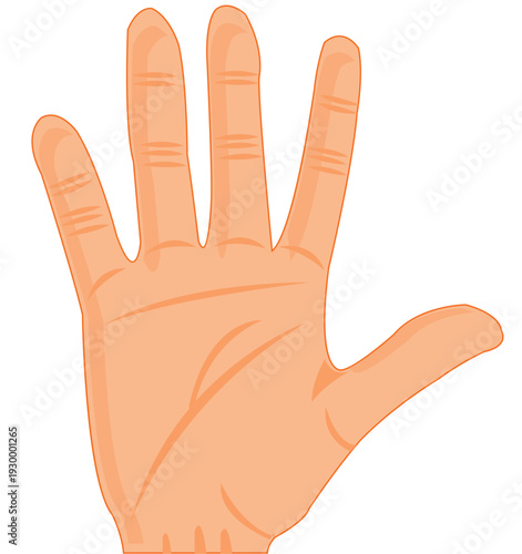 hand palm.eps