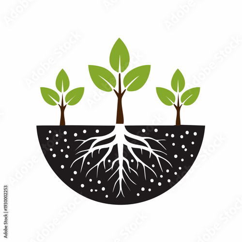 Vibrant green sprouts emerge from rich soil, revealing a robust root system, a powerful symbol of development, sustainability, and nurturing life for the future