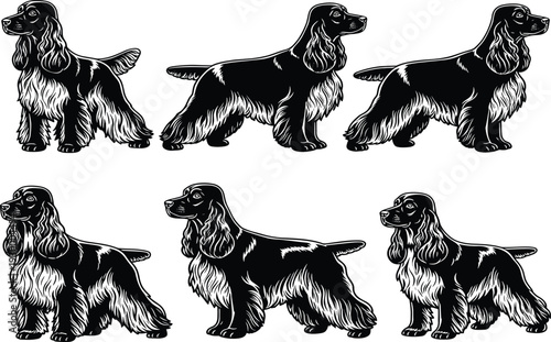 Vector set of six black and white dog illustrations depicting various poses ideal for pet care veterinary clinic and animal themed design projects.
