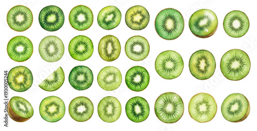 A charming watercolor collection of kiwi slices, including round cross sections and fresh green variations.