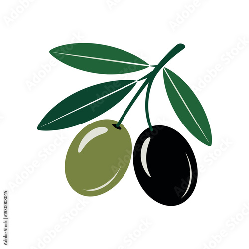 Branch displays two ripe olives, one green and one black, signifying fruit harvest.