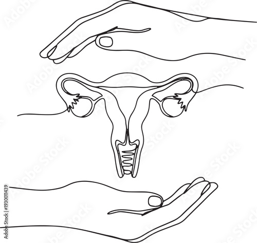 Uterus and ovaries protected by hands. Women's reproductive health care line art.