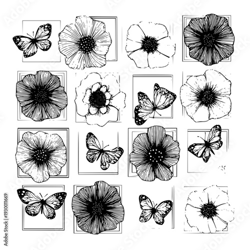 Black and white floral pattern with butterflies vector design for backgrounds and prints perfect for design 100