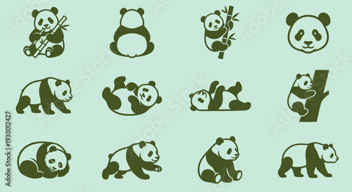 Giant Panda Bear Pose Collection Showing Various Activities Like Eating Bamboo Climbing Trees and Sleeping for Nature Conservation and Wildlife Education