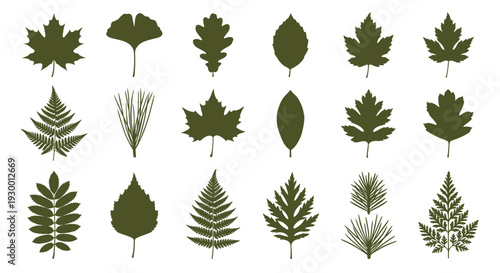 Comprehensive collection of green leaf silhouettes showing diverse shapes from forest trees ferns and plants for botanical identification and nature art