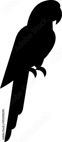 Parrot Silhouette Icon