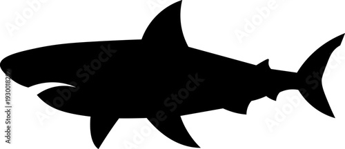Shark Silhouette Icon Vector