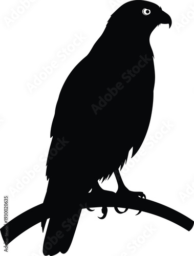 Bird of prey silhouette, hawk falcon illustration, black and white artwork, perched raptor design, powerful wildlife symbol, artistic nature graphic drawing