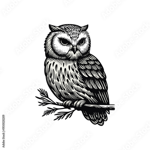 Black and white owl illustration in vintage linocut style, a wise bird perched on a branch.