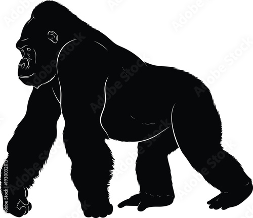 Gorilla silhouette illustration, black and white artwork, powerful primate design, muscular beast drawing, bold wildlife symbol, artistic nature mammal graphic