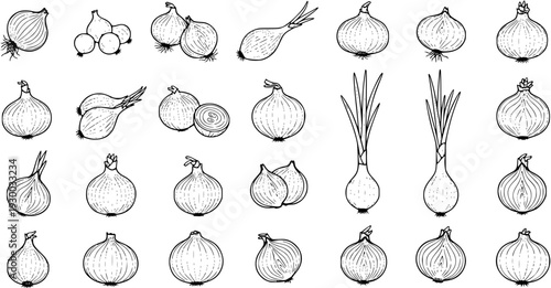 Hand-drawn onion illustrations set: various types like whole, sliced, and green spring onions. Vintage-style black outline sketch collection.