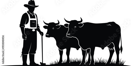 Farmer silhouette standing with two cows in rural meadow field