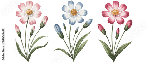 Pastel and vivid floral arrangements featuring blooming daisies and buds on a clean white backdrop, perfect for decorative or celebratory purposes