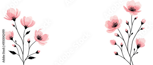 Delicate pink blossoms on slender stems create an elegant floral arrangement against a pristine white backdrop, perfect for spring-themed designs