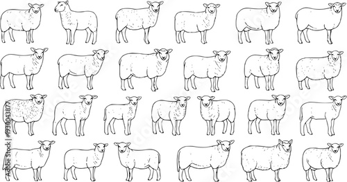 Hand-Drawn Seamless Pattern with Diverse Sheep Illustrations. Black and White Outline of Farm Animals, Lambs, and Ewes Repeating Background for Agriculture, Textile, and Design Projects.