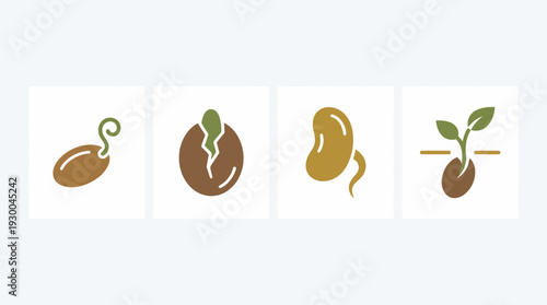 seedling growth stages icons set. Spring Vector Packs. EPS Editable