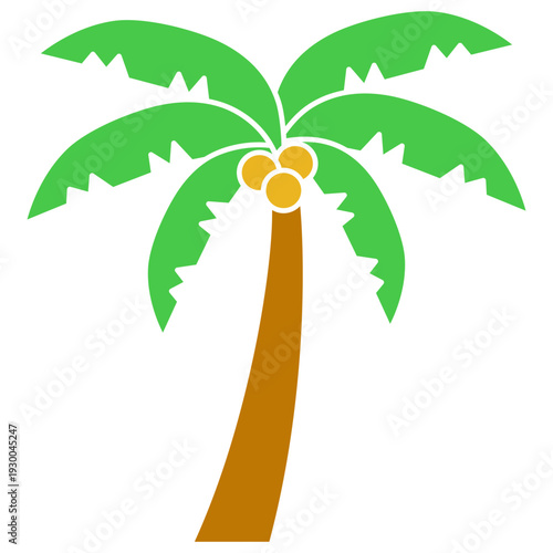 Palm tree vector illustration